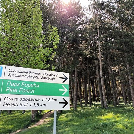 Apartman Rubi Sokobanja Esterno foto