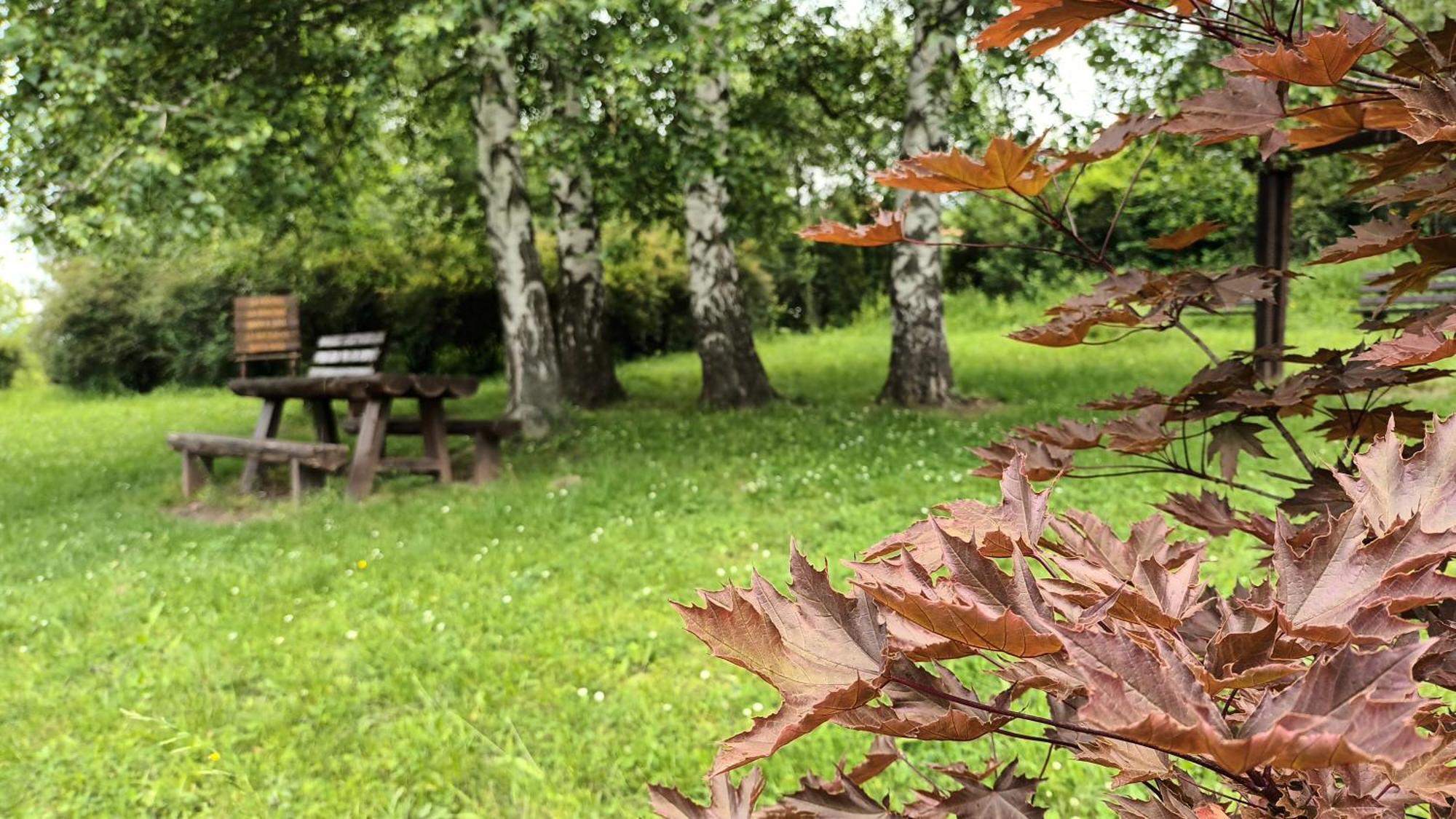 Apartman Rubi Sokobanja Esterno foto